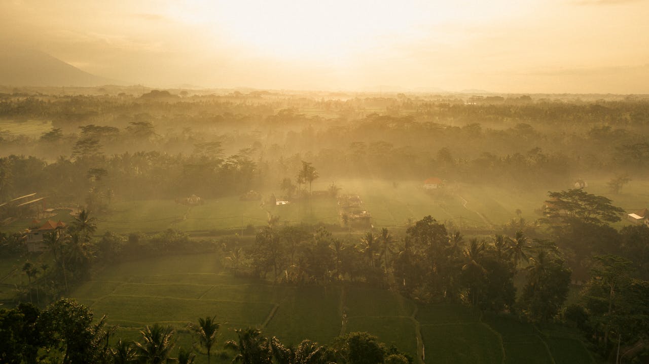 Aerial view of Bali rice fields bathed in golden sunrise light and morning mist.